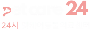 펫케어24