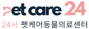 펫케어24